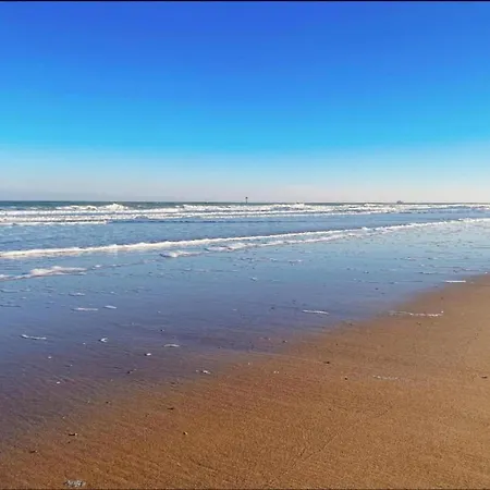 In Near Zeedijk * Knokke-Heist
