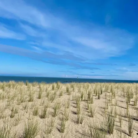 In Near Zeedijk Daire