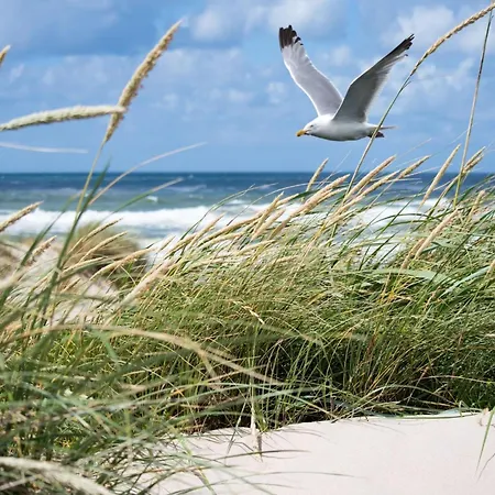 Daire In Near Zeedijk