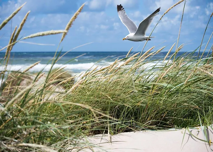 דירה In Near Zeedijk